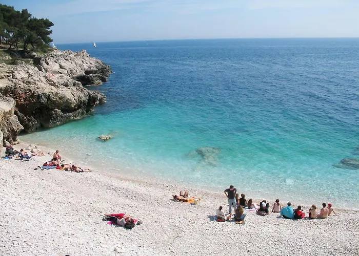 Elgasi Fažana
