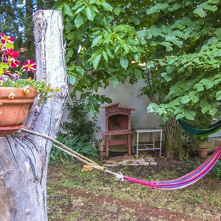 Apartment Elgasi *